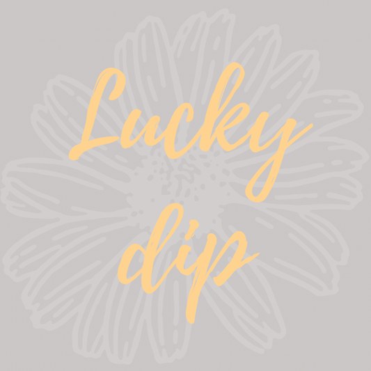 Christmas MEGA Lucky Dip!