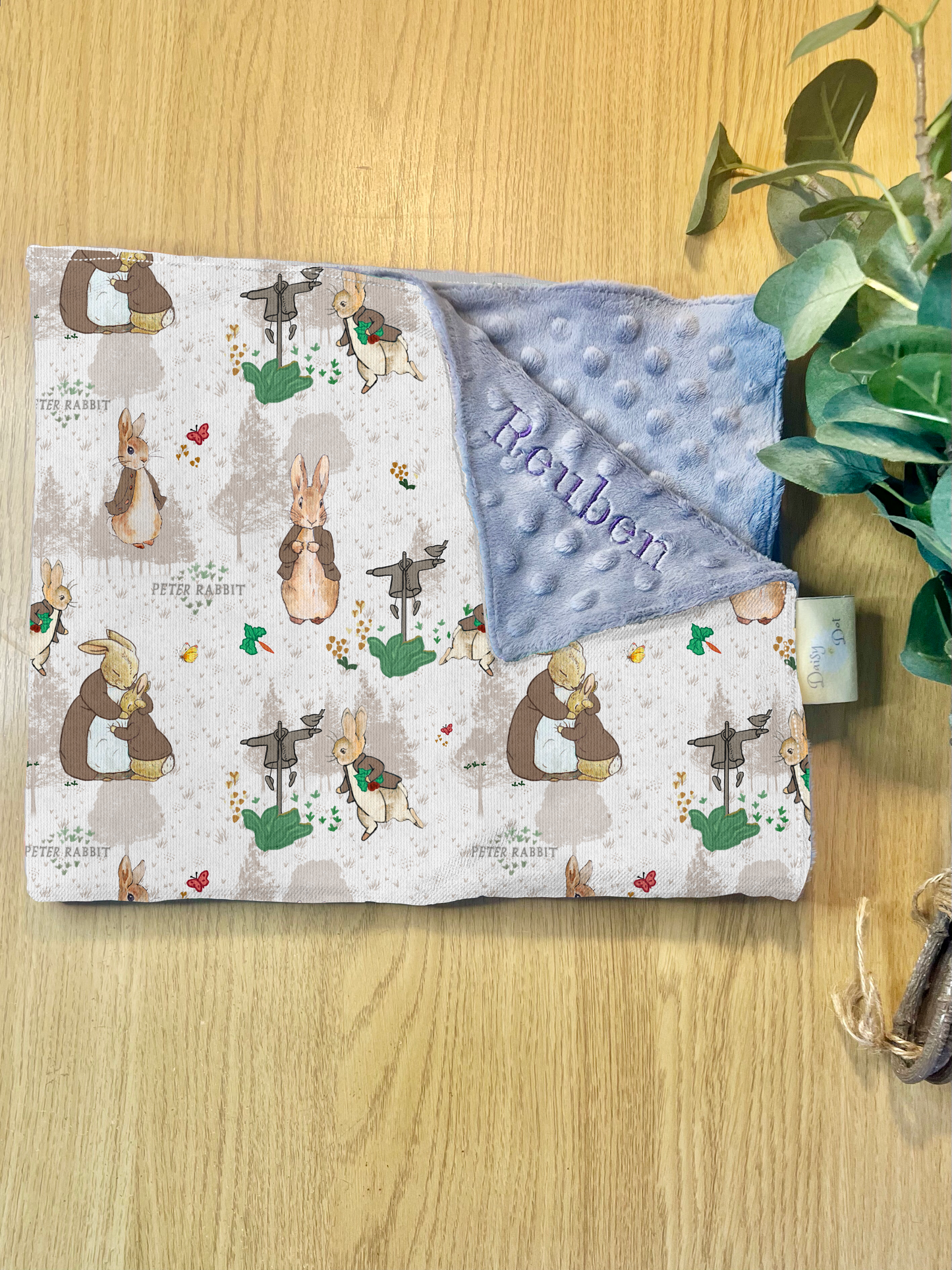 Peter Rabbit Daydreams