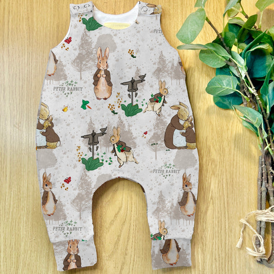 Peter Rabbit Daydreams